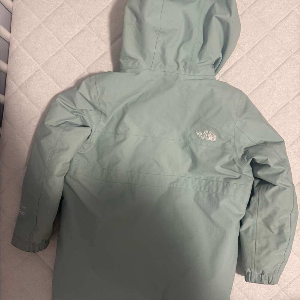 The North Face Hooded Parka in Sage - Picture 6 of 10
